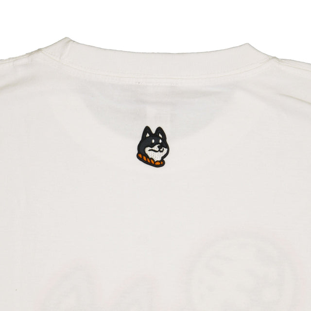 ASA-SHIBA Black Dog