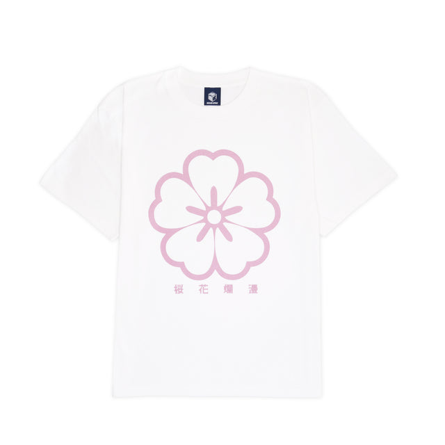 Cherry blossoms bloom on a spring day